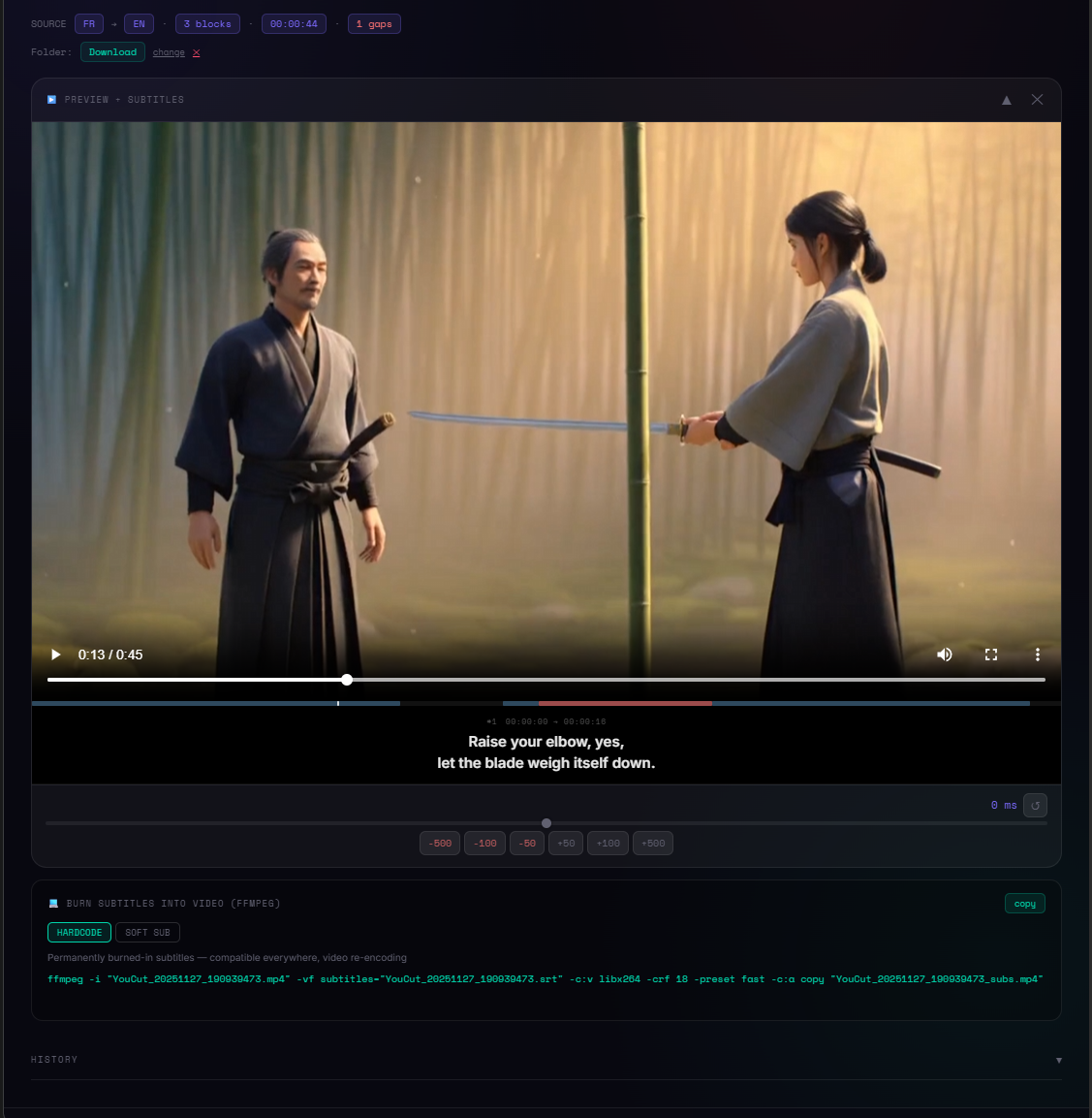 Live subtitle preview over the original video